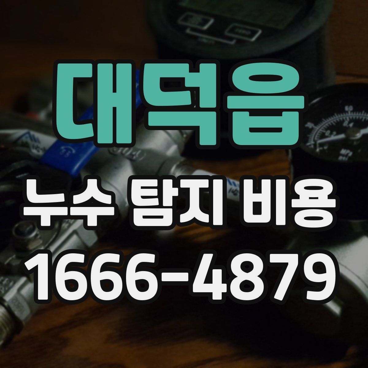 대덕읍 누수 탐지 비용