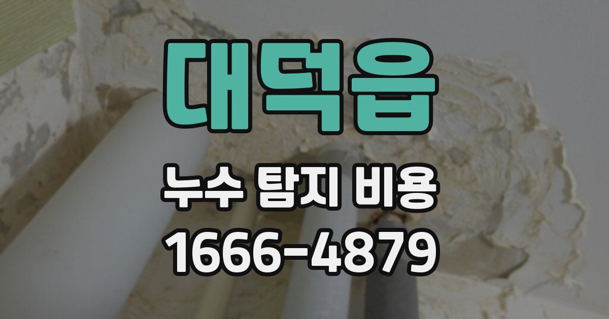 대덕읍 누수 탐지 비용