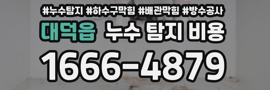 대덕읍 누수 탐지 비용