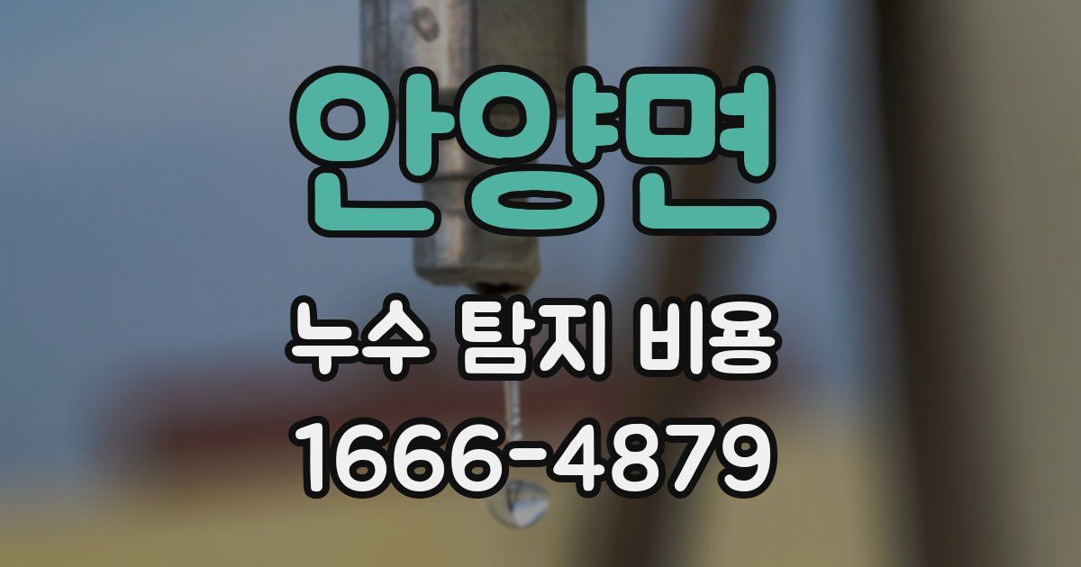 안양면 누수 탐지 비용