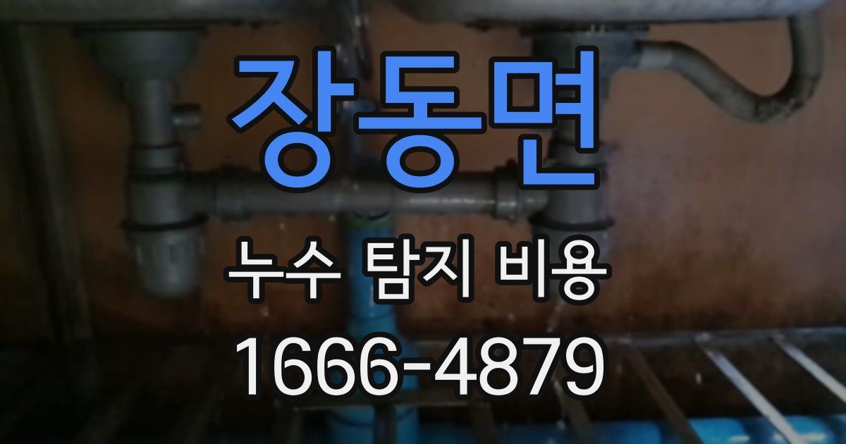 장동면 누수 탐지 비용