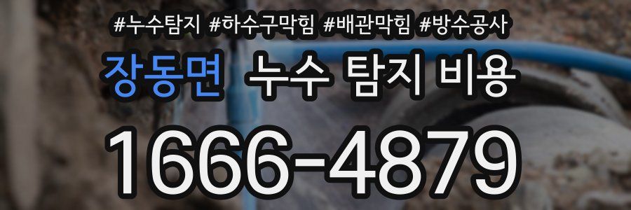 장동면 누수 탐지 비용