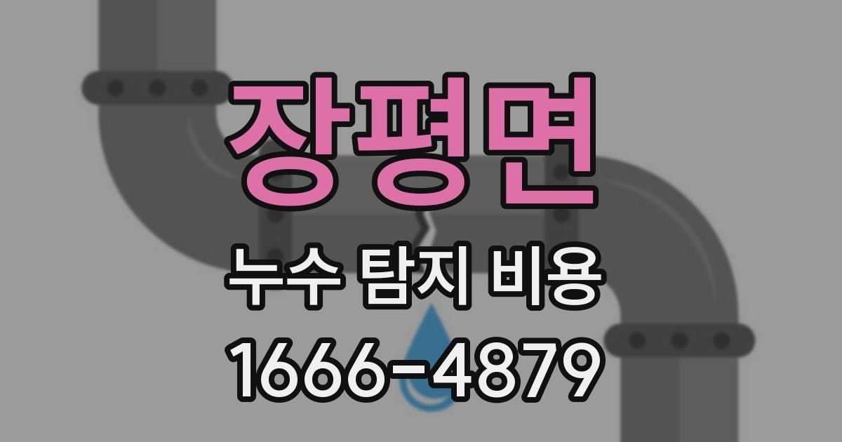 장평면 누수 탐지 비용