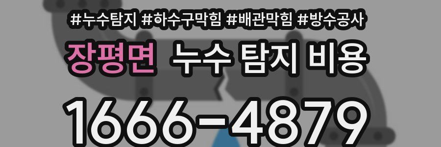 장평면 누수 탐지 비용