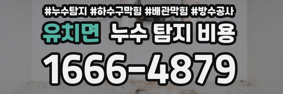 유치면 누수 탐지 비용