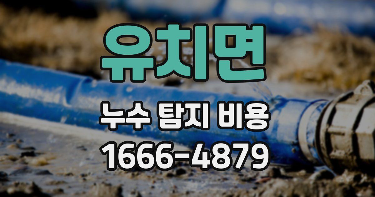 유치면 누수 탐지 비용