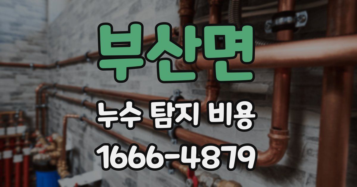 부산면 누수 탐지 비용