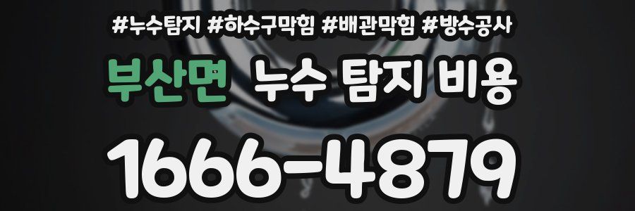 부산면 누수 탐지 비용