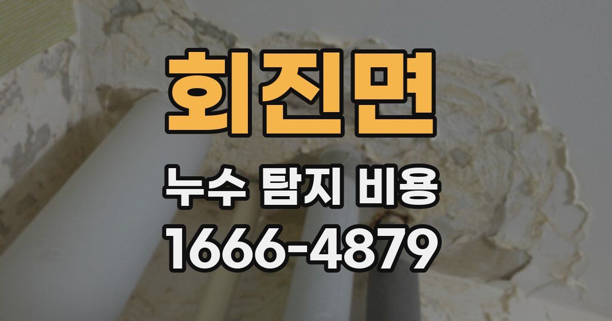회진면 누수 탐지 비용