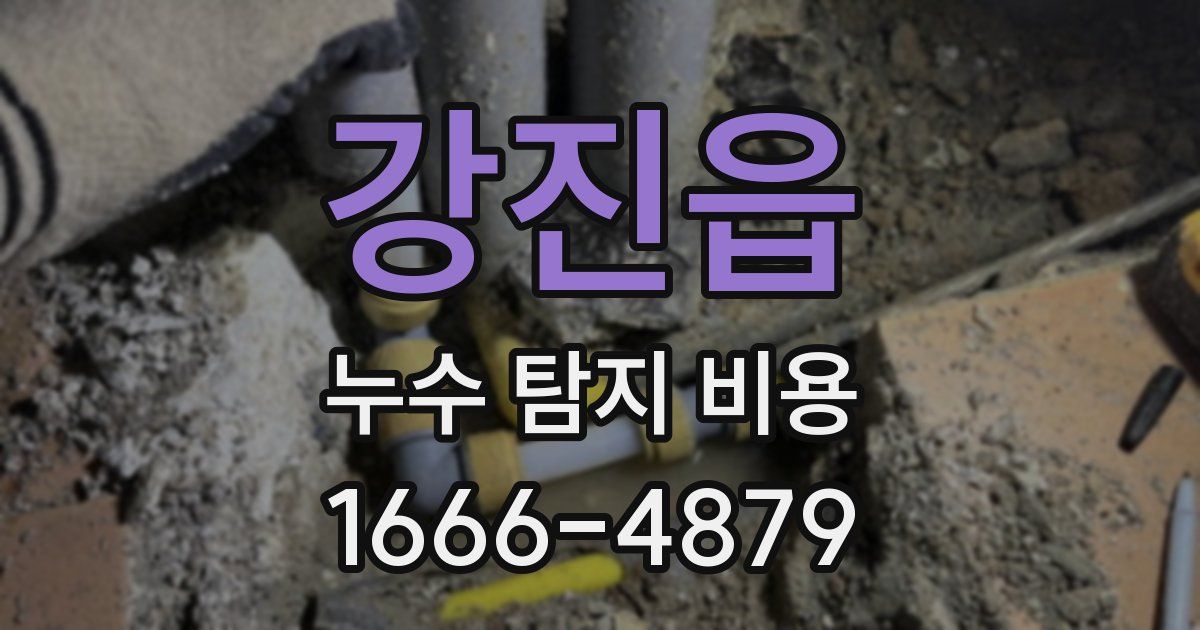 강진읍 누수 탐지 비용