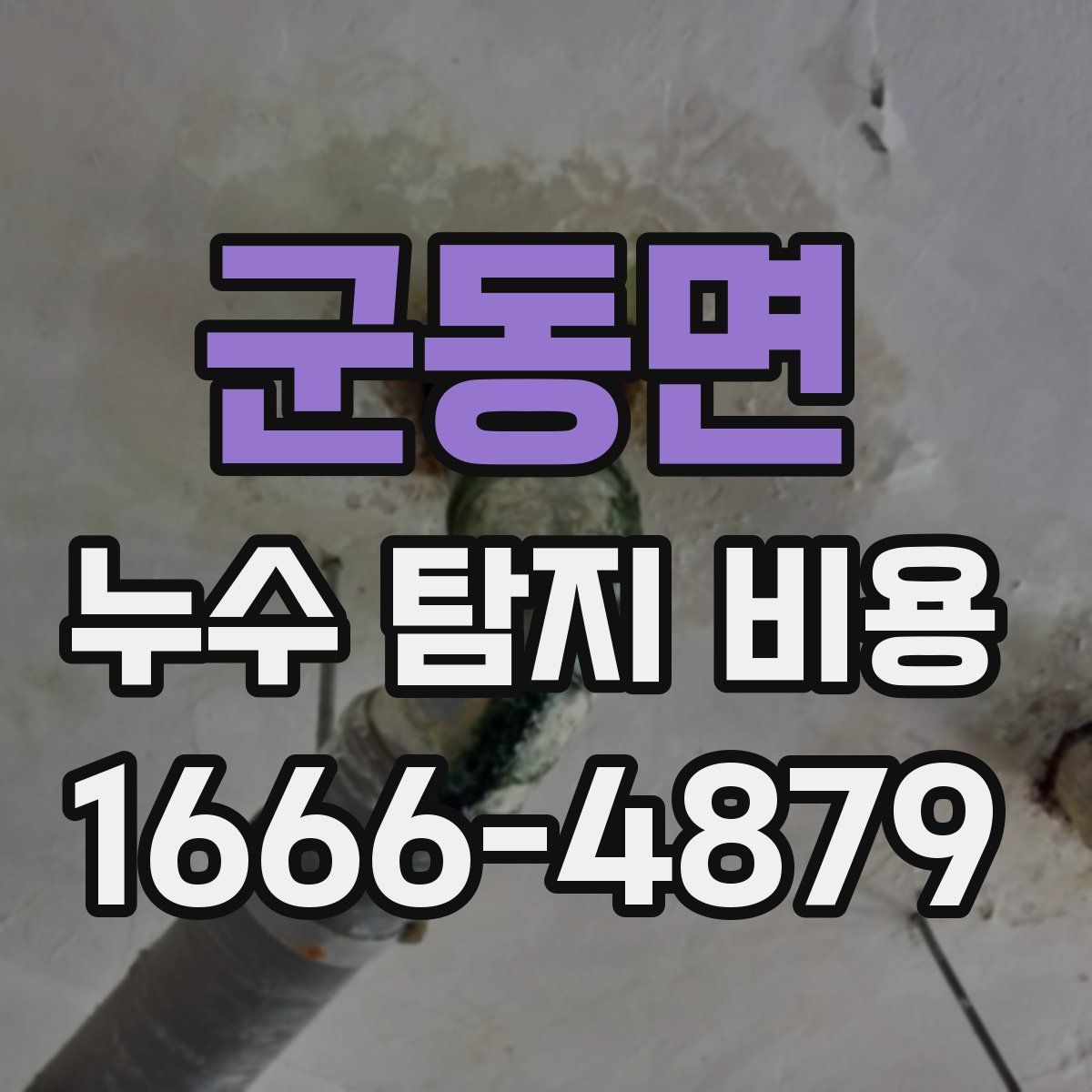 군동면 누수 탐지 비용