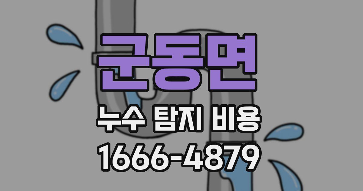 군동면 누수 탐지 비용
