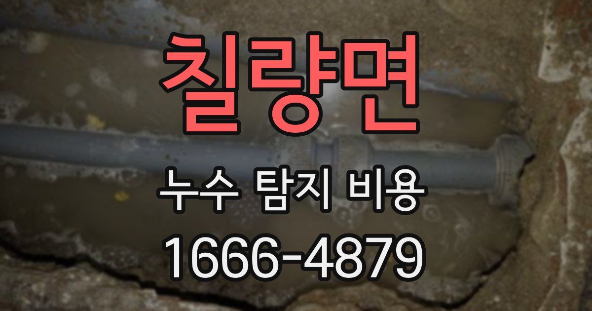 칠량면 누수 탐지 비용