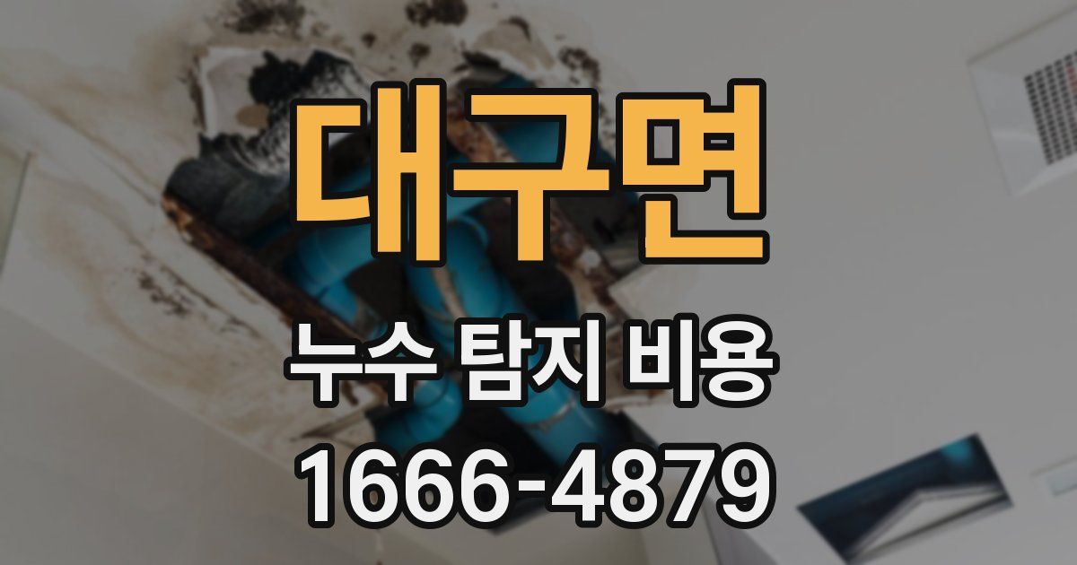대구면 누수 탐지 비용