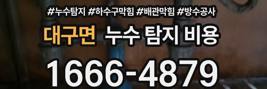 대구면 누수 탐지 비용