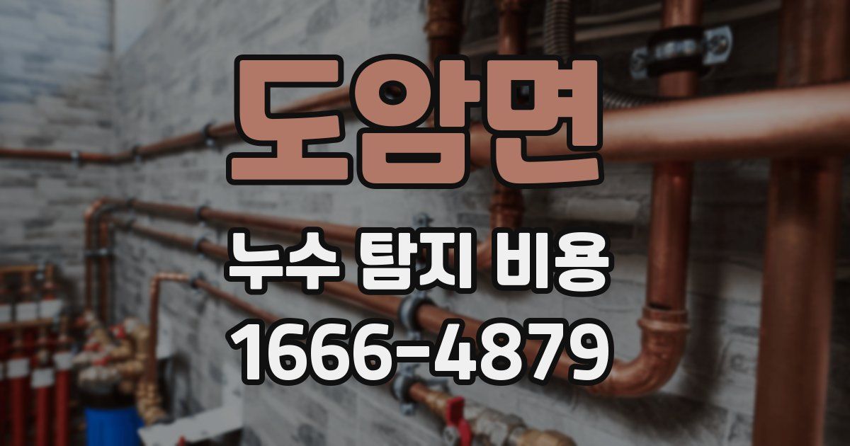도암면 누수 탐지 비용