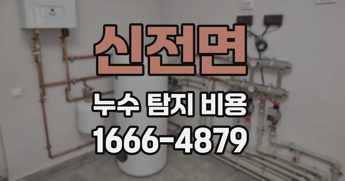 신전면 누수 탐지 비용