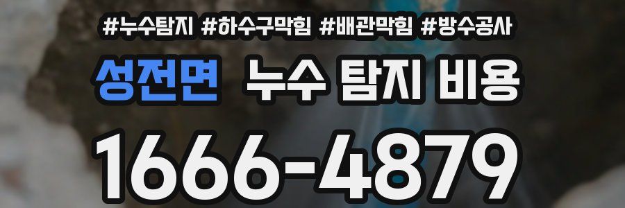 성전면 누수 탐지 비용