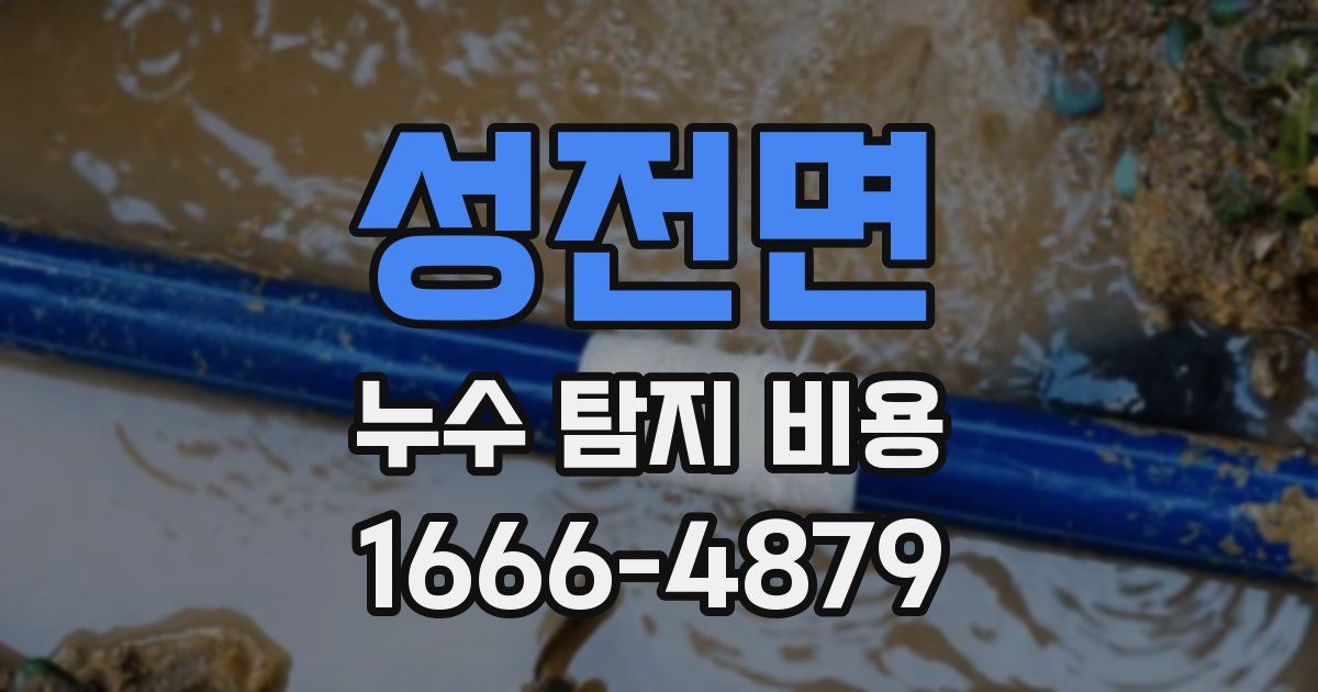 성전면 누수 탐지 비용