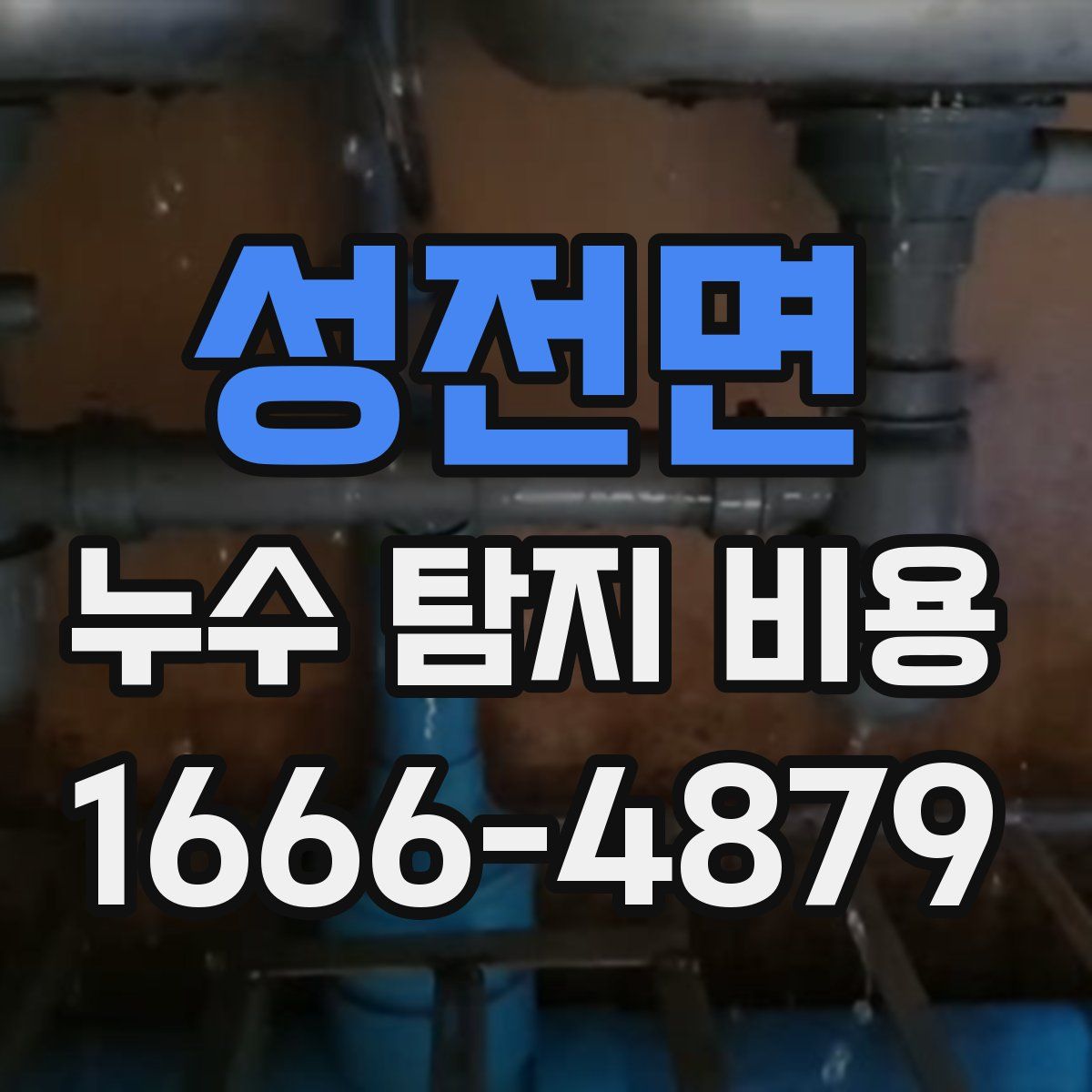 성전면 누수 탐지 비용