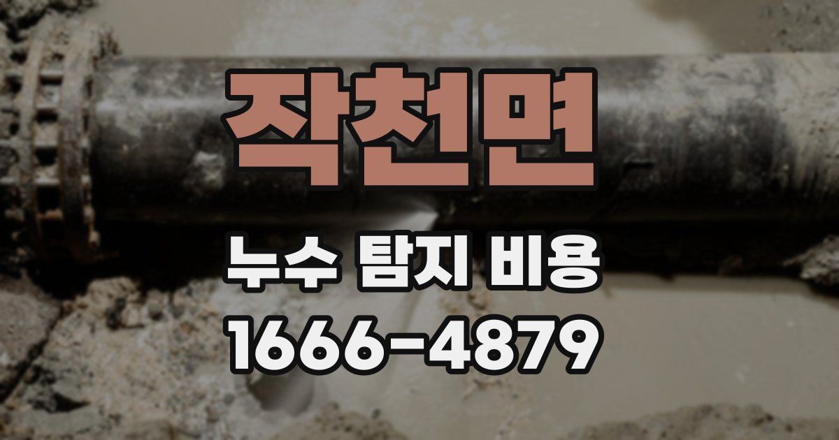 작천면 누수 탐지 비용