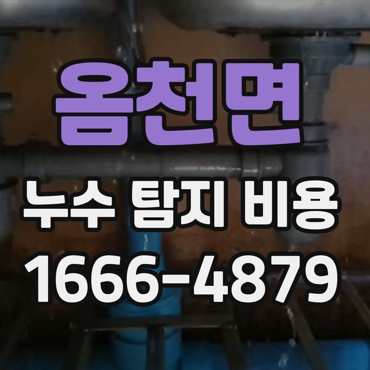 옴천면 누수 탐지 비용