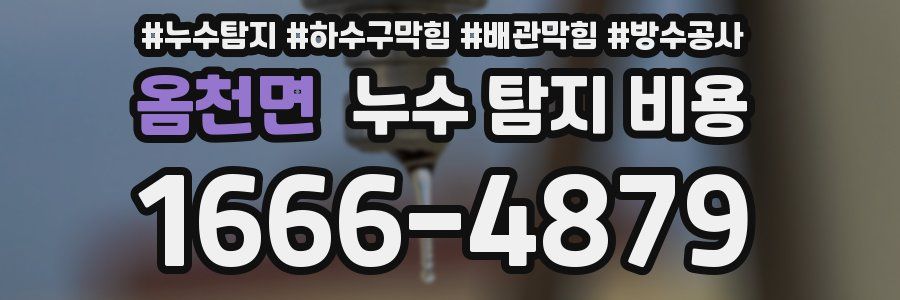 옴천면 누수 탐지 비용