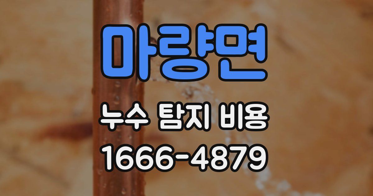 마량면 누수 탐지 비용