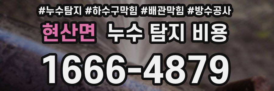 현산면 누수 탐지 비용