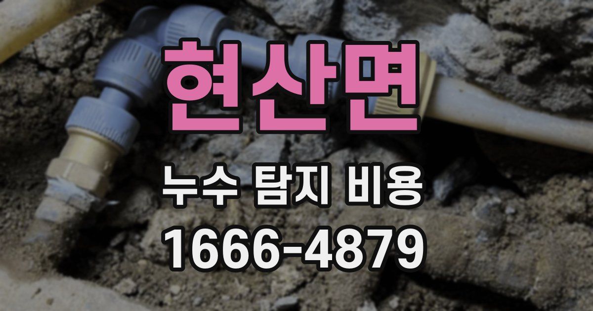 현산면 누수 탐지 비용