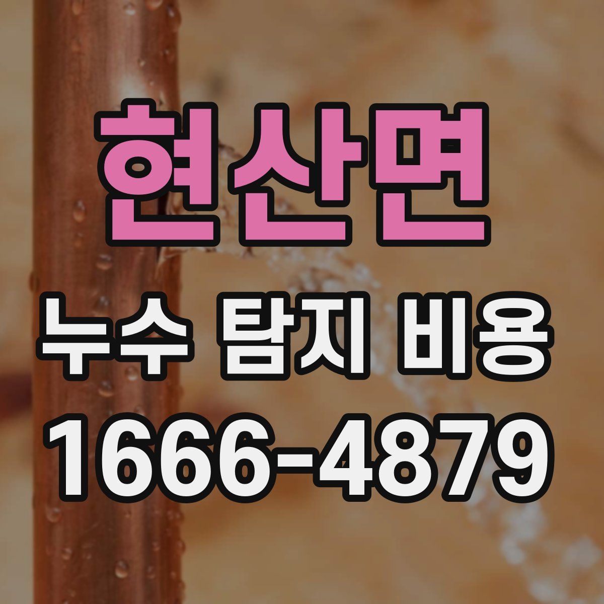 현산면 누수 탐지 비용