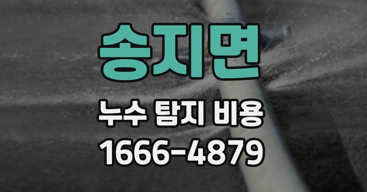 송지면 누수 탐지 비용