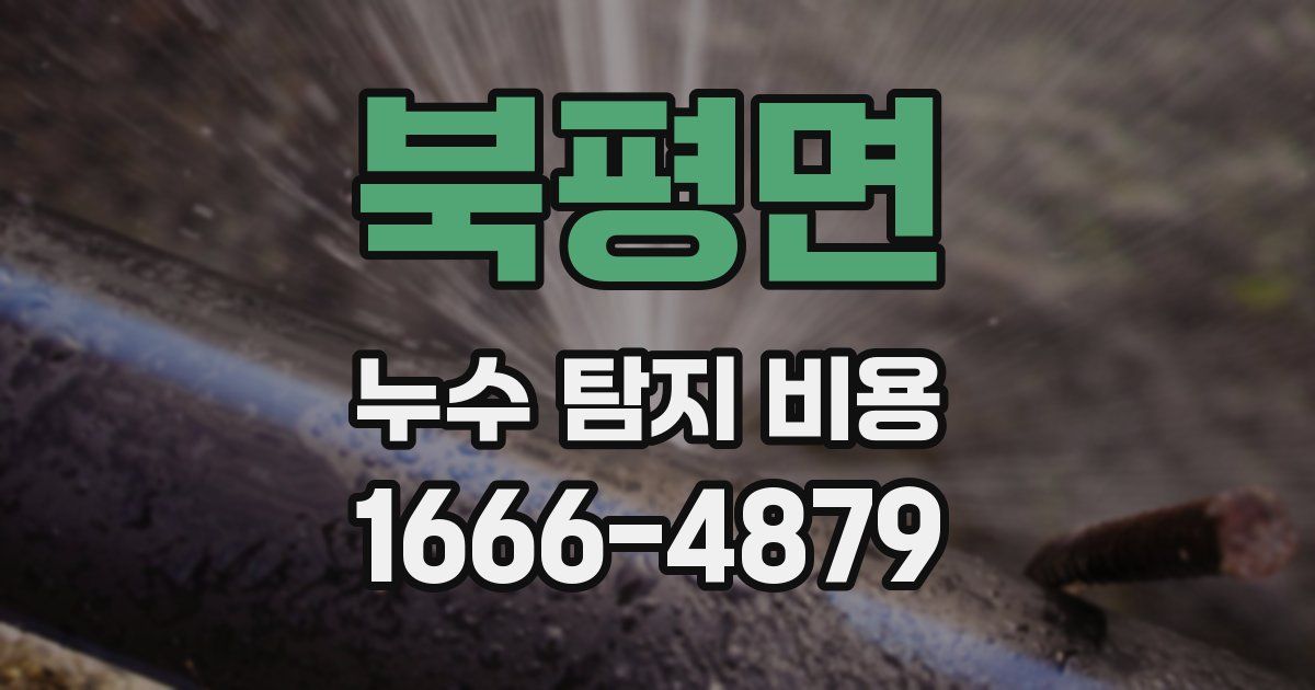 북평면 누수 탐지 비용