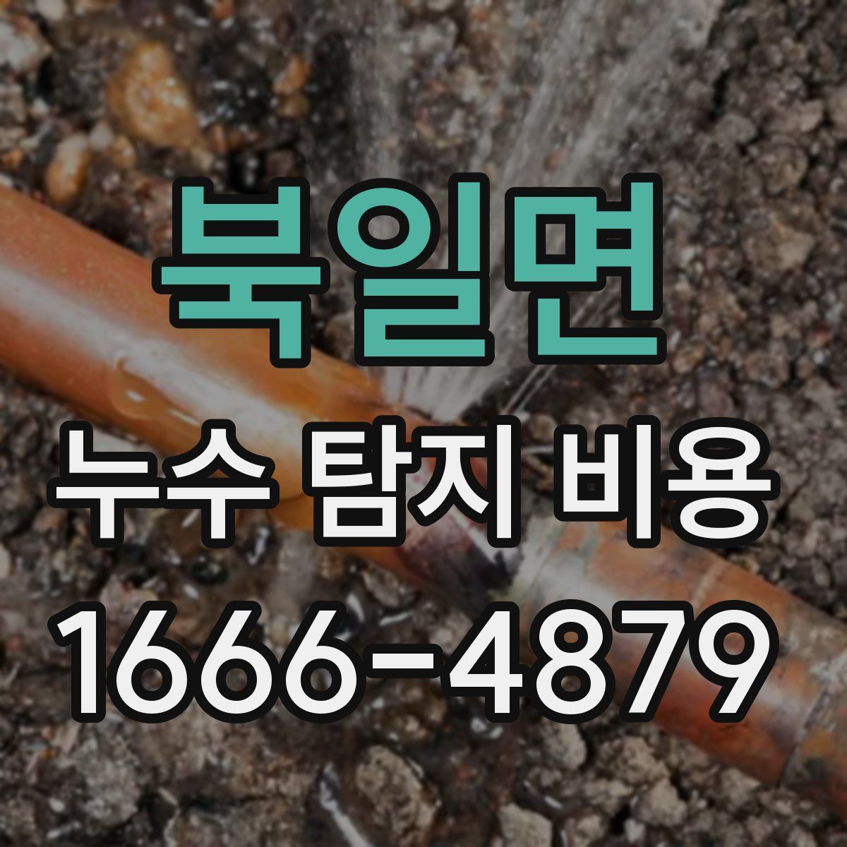 북일면 누수 탐지 비용