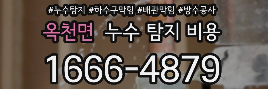 옥천면 누수 탐지 비용