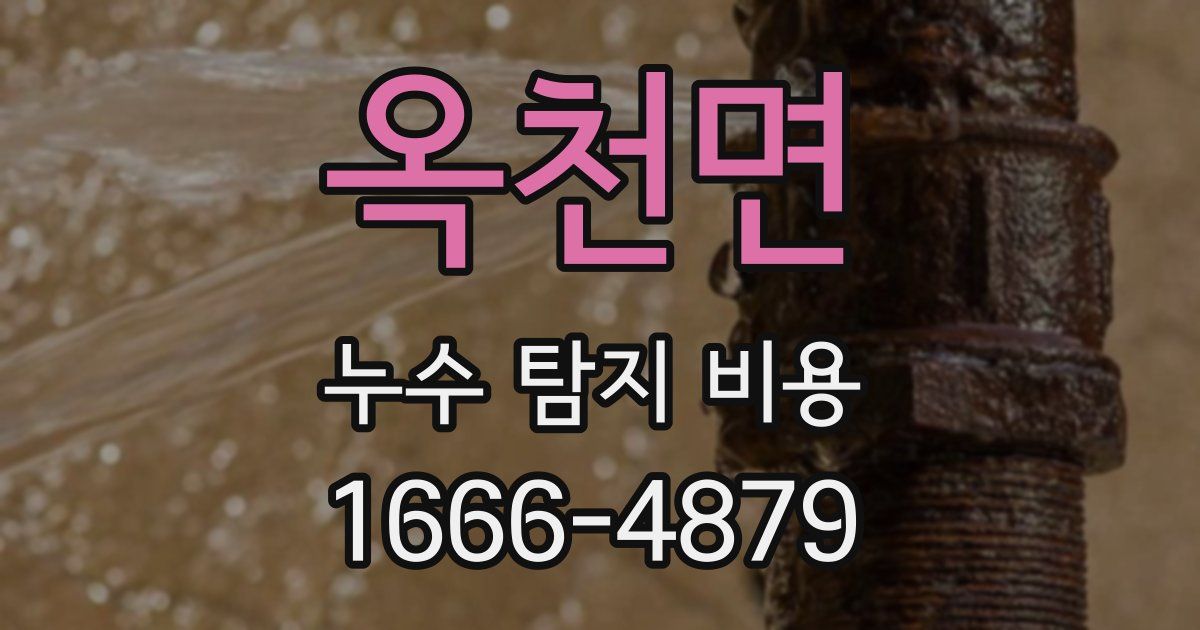 옥천면 누수 탐지 비용