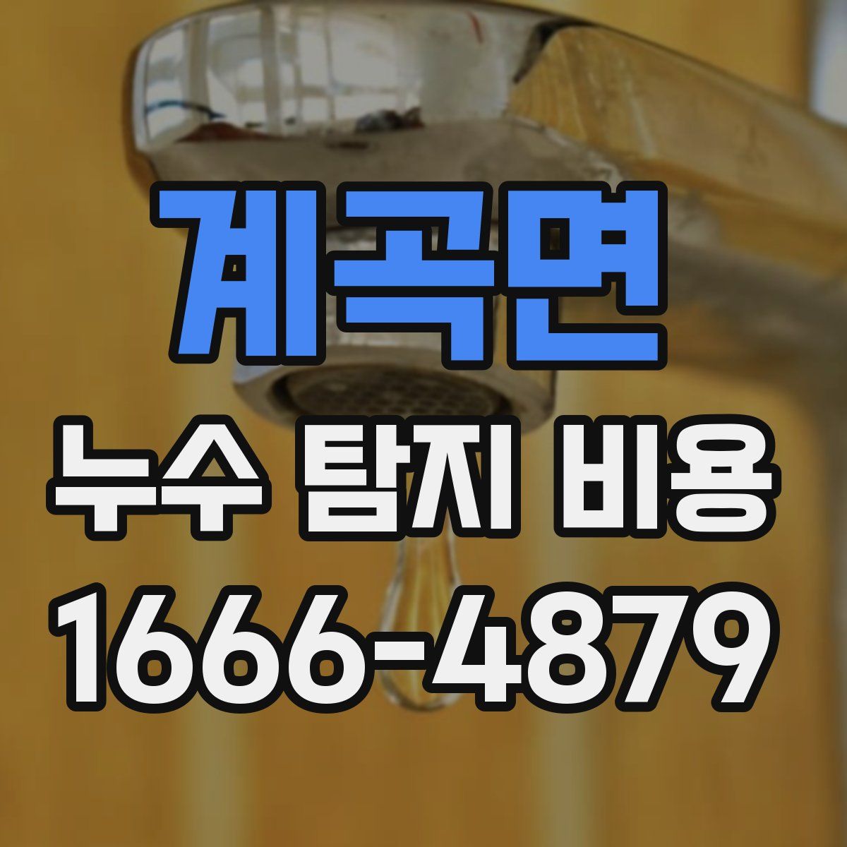 계곡면 누수 탐지 비용