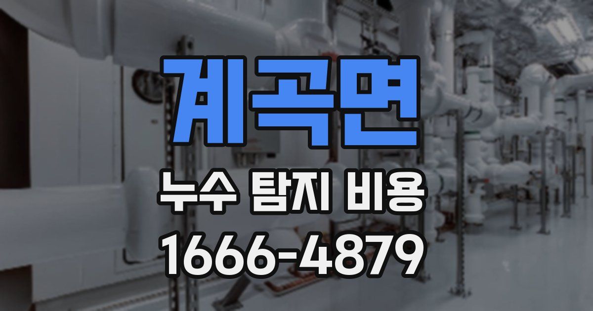 계곡면 누수 탐지 비용