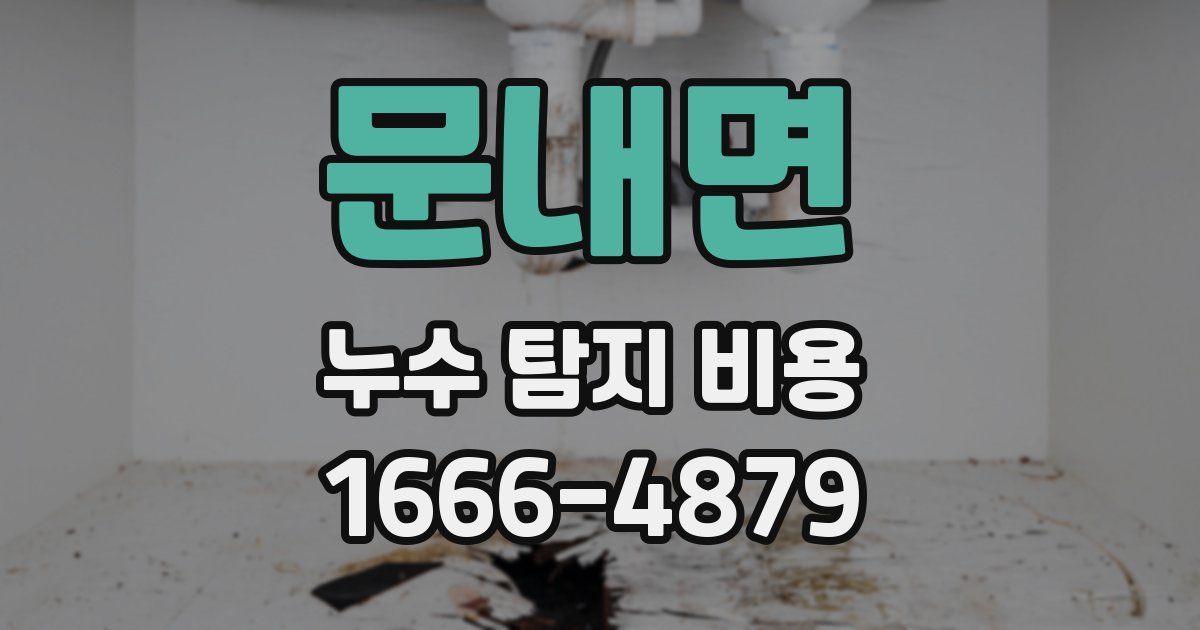 문내면 누수 탐지 비용