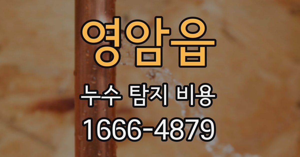 영암읍 누수 탐지 비용