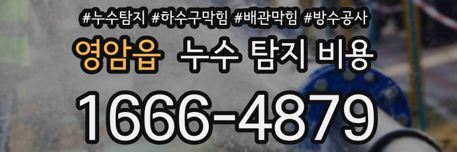 영암읍 누수 탐지 비용