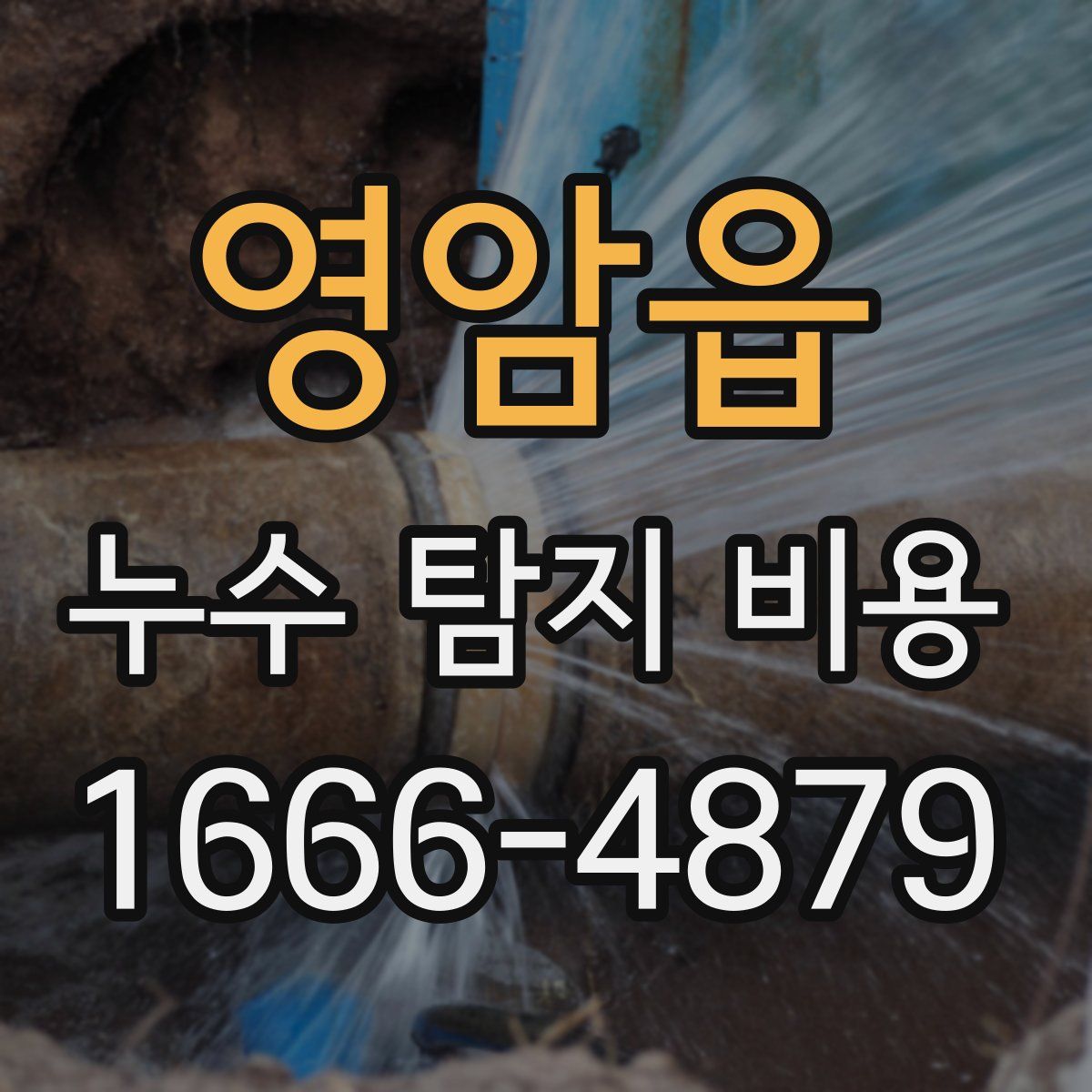 영암읍 누수 탐지 비용