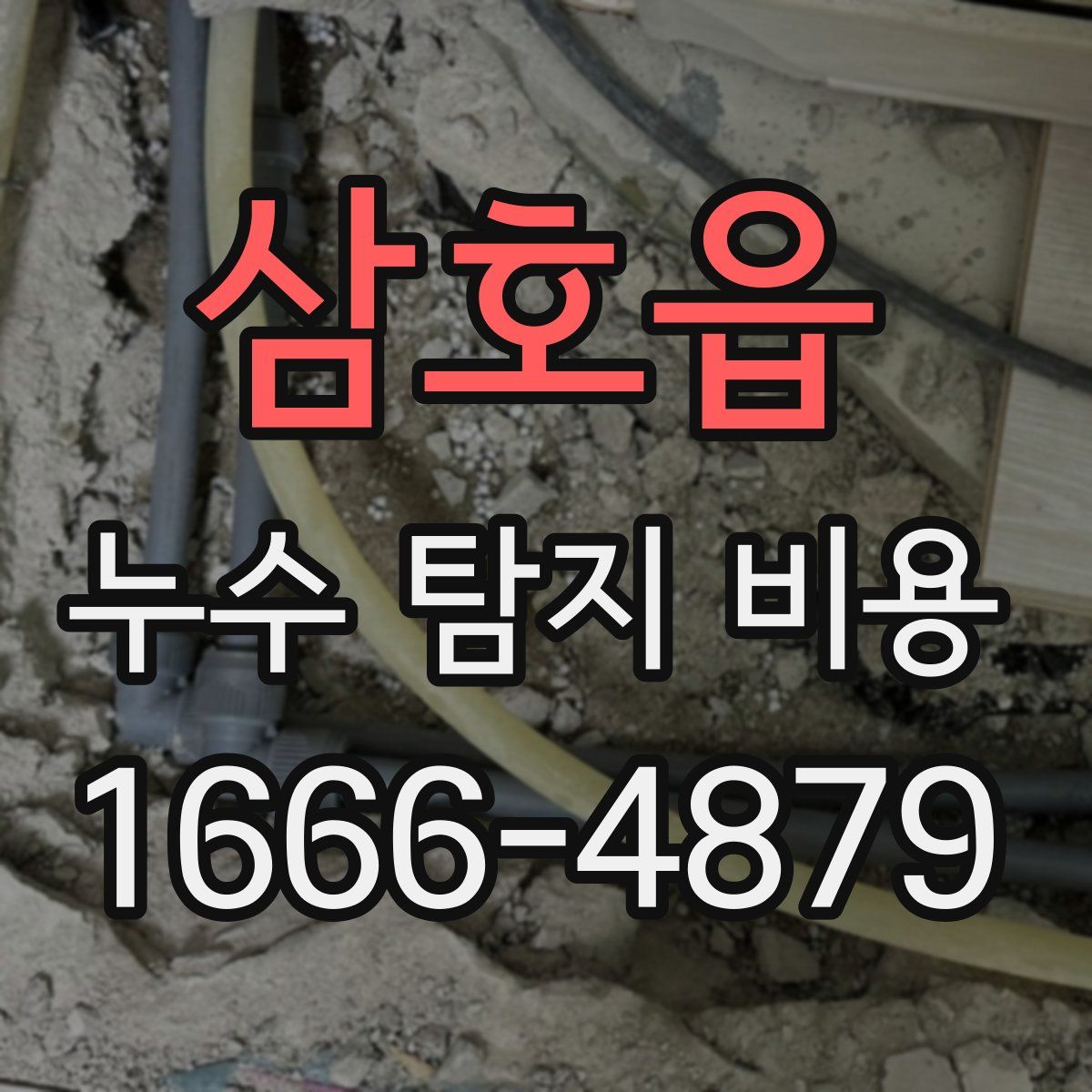 삼호읍 누수 탐지 비용