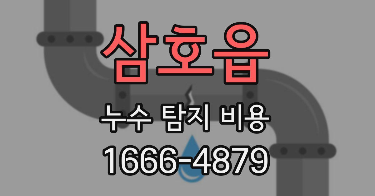 삼호읍 누수 탐지 비용