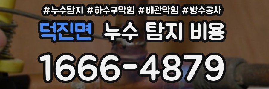 덕진면 누수 탐지 비용