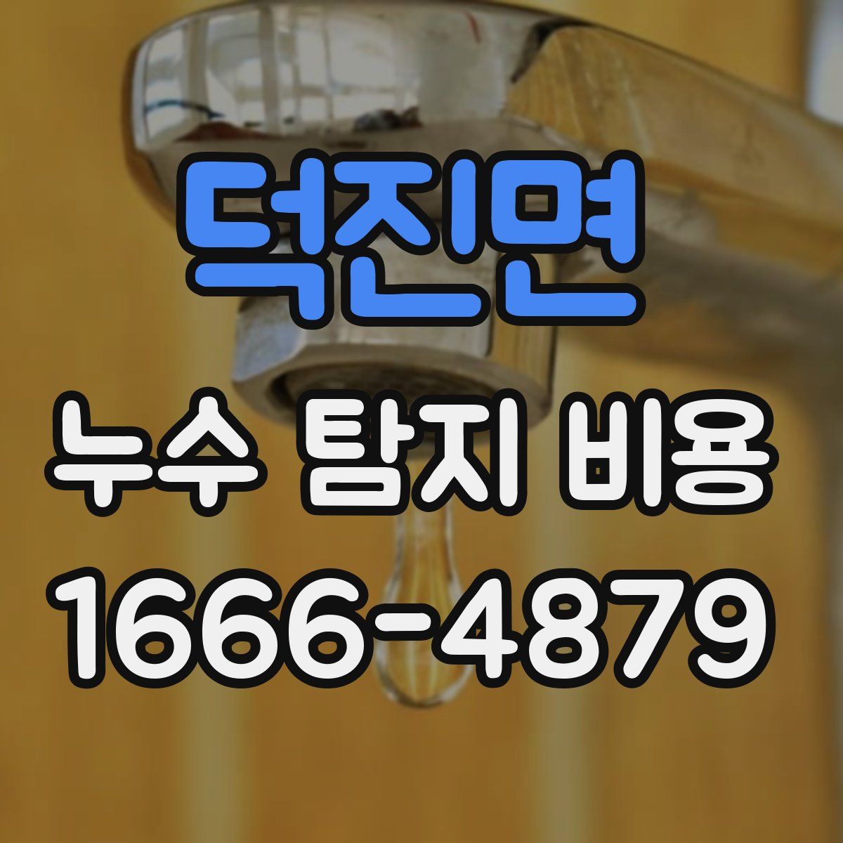 덕진면 누수 탐지 비용