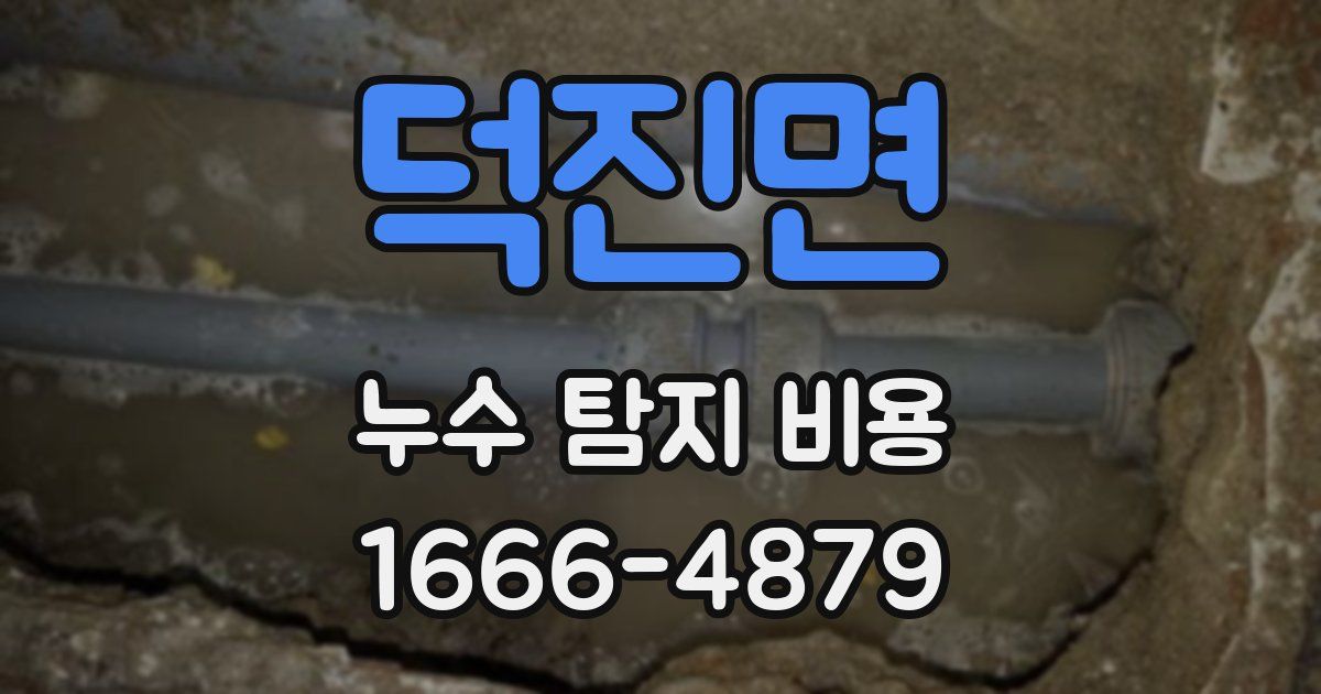 덕진면 누수 탐지 비용