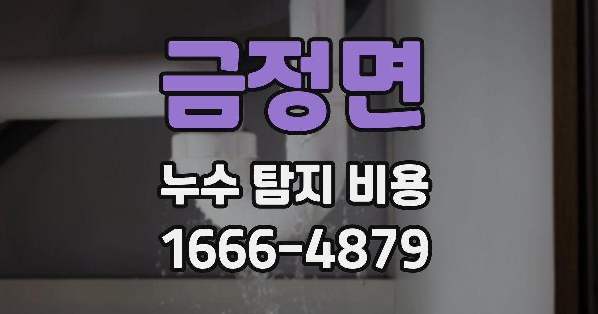 금정면 누수 탐지 비용