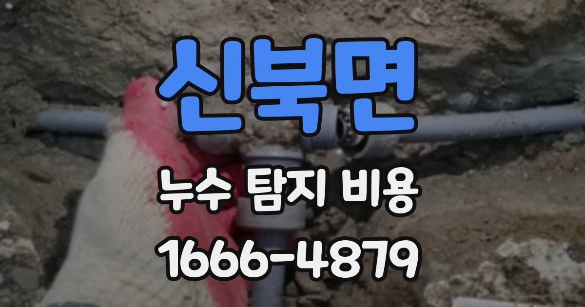 신북면 누수 탐지 비용
