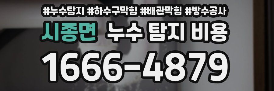시종면 누수 탐지 비용